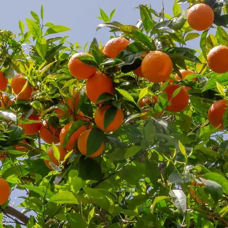 Bed & Breakfast Le Dimax