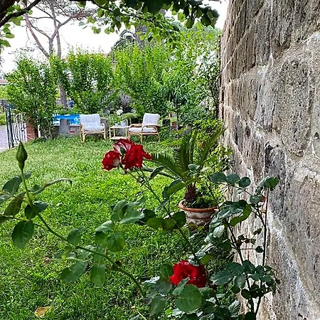 Le Dimax Panzió